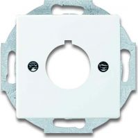 Zentralscheibe dav/sws 2533-84