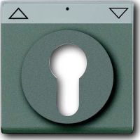 Zentralscheibe meteor/gr 1755 SL/PZ-803-101