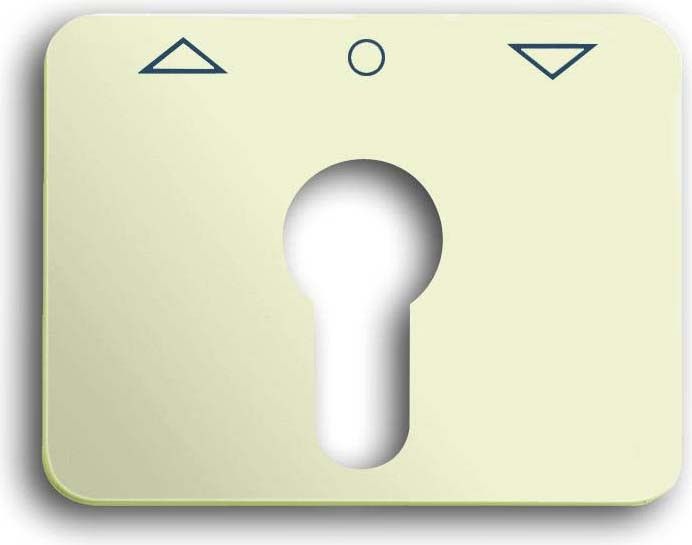 Zentralscheibe elf/ws 1755 PZ-22G-101