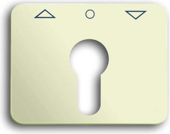 Zentralscheibe elf/ws 1755 PZ-22G-101