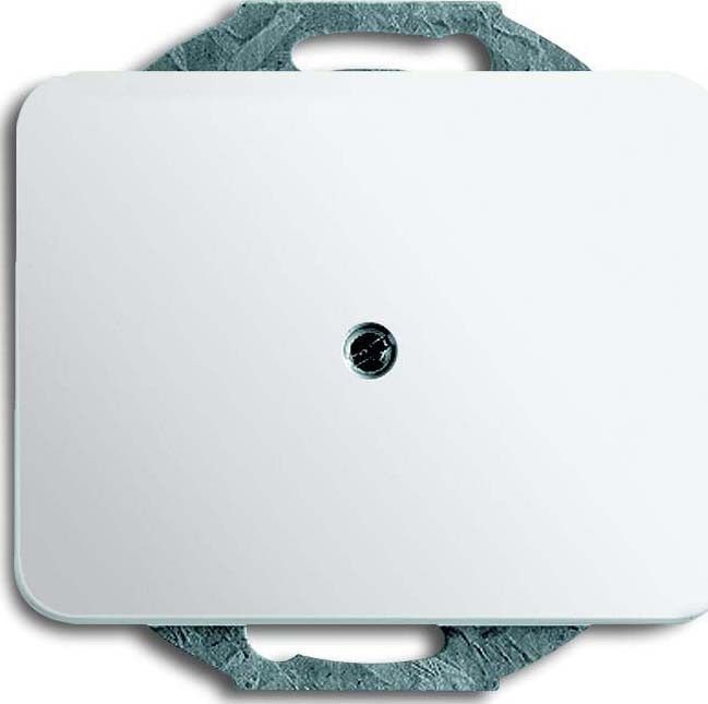Zentralscheibe stws gl 1749-24G Zentralscheibe stws gl 1749-24G