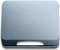 Zentralscheibe ti 1746-266-101