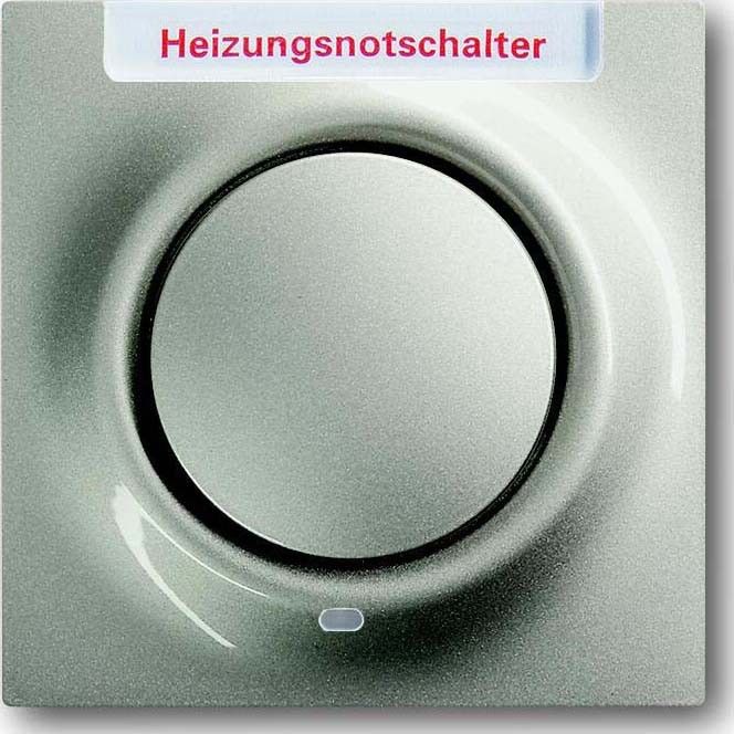 Zentralscheibe cha 1789 H-79-101