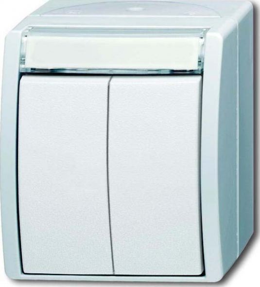 Doppeltaster 2621 WN-54-205-101 Doppeltaster 2621 WN-54-205-101
