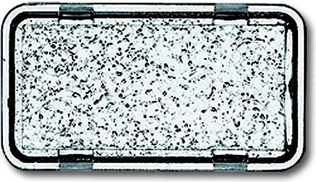 Tastersymbol 2622 N-101 Tastersymbol 2622 N-101