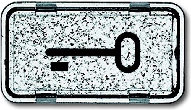 Tastersymbol 2622 TR-101 Tastersymbol 2622 TR-101