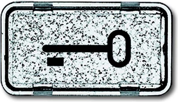 Tastersymbol 2622 TR-101 Tastersymbol 2622 TR-101