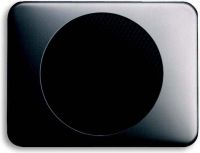 Zentralscheibe platin 8253-20