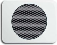 Zentralscheibe alabast./ws 8253-24G