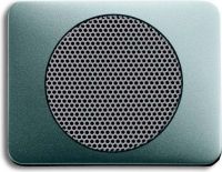 Zentralscheibe titan 8253-266