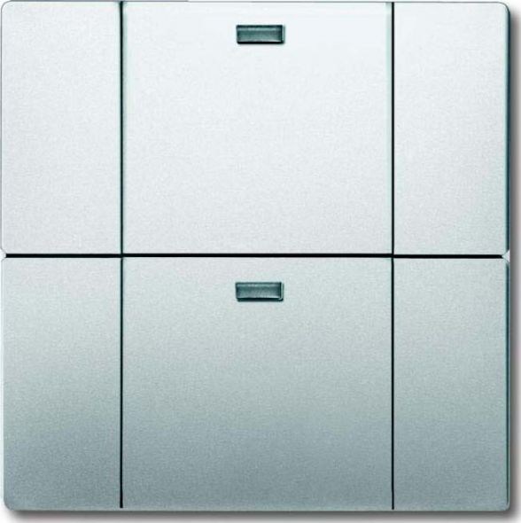 Bedienelement 2-fach 6732-866 Bedienelement 2-fach 6732-866