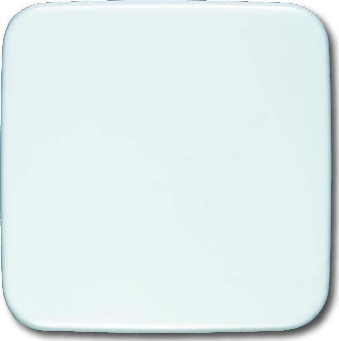 Blindzentralscheibe aws 1576 C-214 Blindzentralscheibe aws 1576 C-214