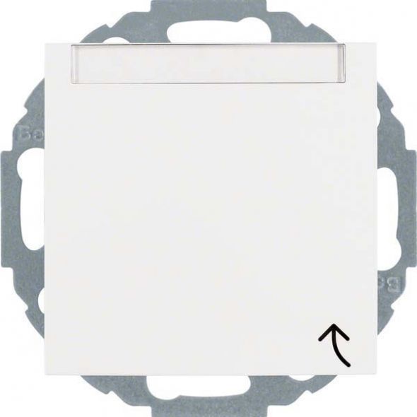 SCHUKO-Steckdose 47461909 polarweiß matt SCHUKO-Steckdose 47461909 polarweiß matt