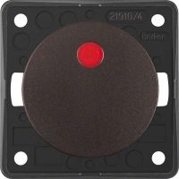 Kontrollschalter 937622531 braun matt