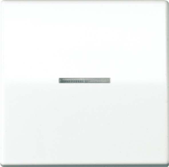 Wippe Lichtleiter ws AS 591 KO5 BF