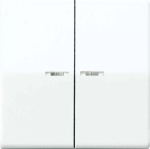 Wippe Lichtleiter ws AS 591-5 KO5 Wippe Lichtleiter ws AS 591-5 KO5