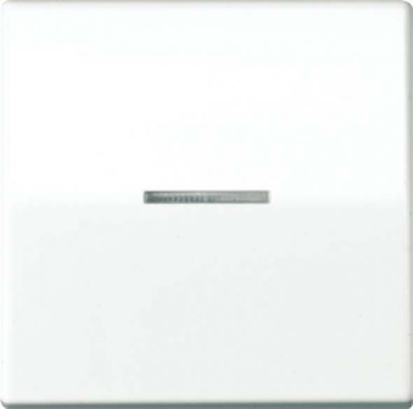 Wippe Lichtleiter ws AS 591 KO5 BF Wippe Lichtleiter ws AS 591 KO5 BF