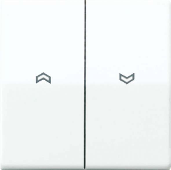 Wippe Symbole aws AS 591-5 P BF WW Wippe Symbole aws AS 591-5 P BF WW
