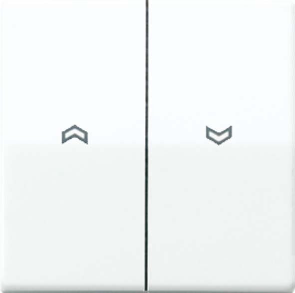 Wippe Symbole ws ABAS 591-5 P