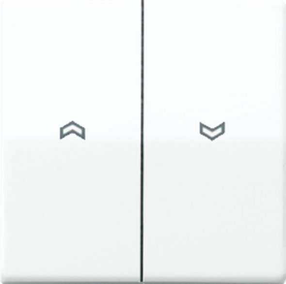 Wippe Symbole ws ABAS 591-5 P Wippe Symbole ws ABAS 591-5 P