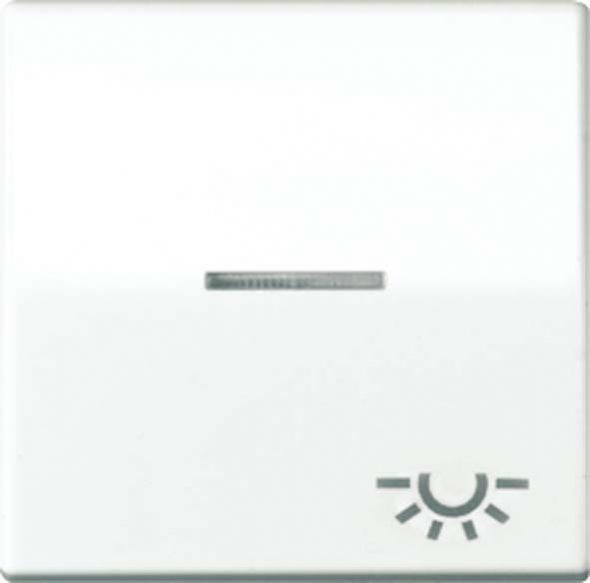 Wippe Symbol LICHT ws ABAS 591 KO5L Wippe Symbol LICHT ws ABAS 591 KO5L