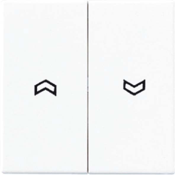 Wippe Symbole champ A 595 P CH