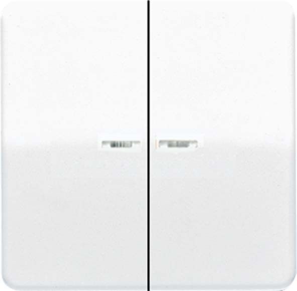 Wippe Lichtleiter aws CD 595 KO5 WW