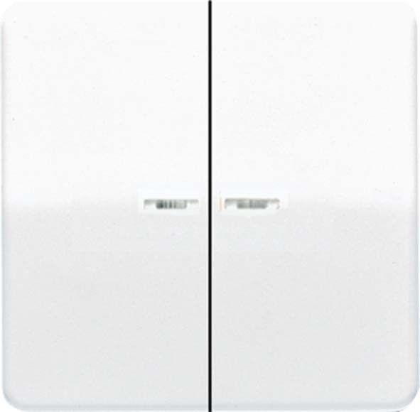 Wippe Lichtleiter aws CD 595 KO5BF WW