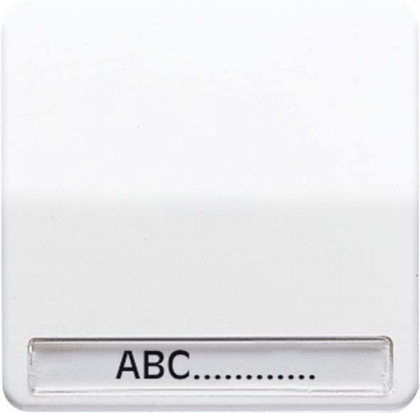 Wippe Schriftfeld aws CD 590 NA WW Wippe Schriftfeld aws CD 590 NA WW