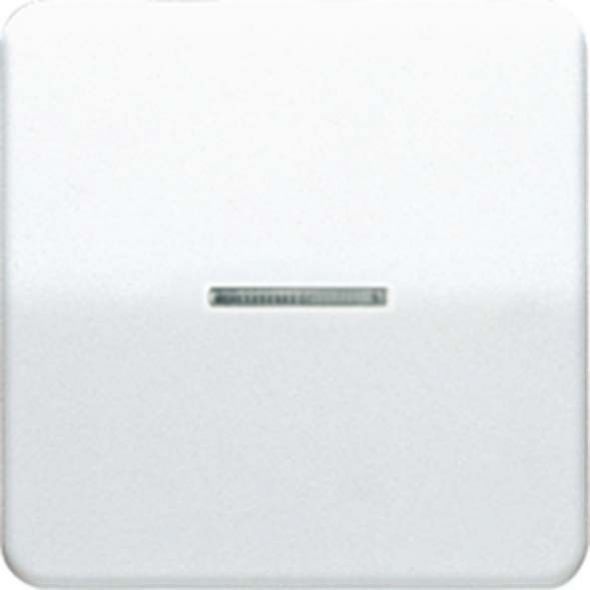 Wippe Lichtleiter aws CD 590 KO5 WW Wippe Lichtleiter aws CD 590 KO5 WW