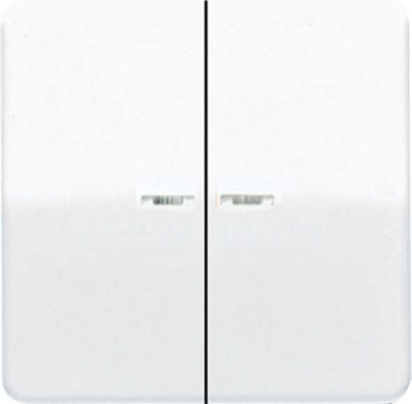 Wippe Lichtleiter aws CD 595 KO5 WW Wippe Lichtleiter aws CD 595 KO5 WW