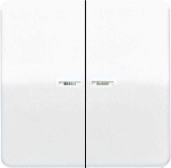 Wippe Lichtleiter aws CD 595 KO5BF WW Wippe Lichtleiter aws CD 595 KO5BF WW
