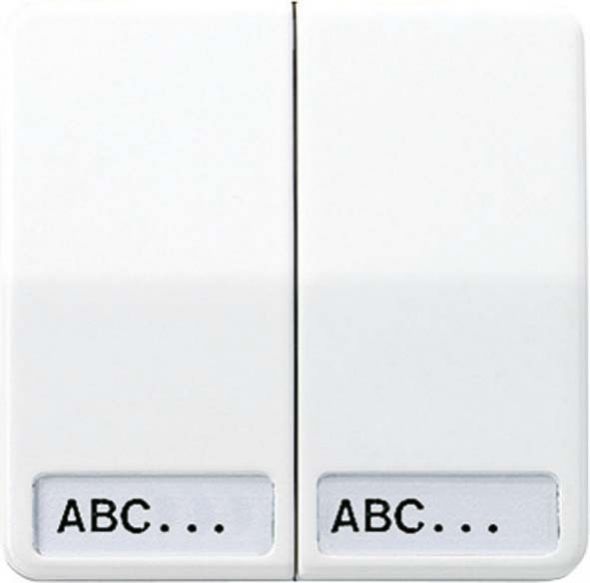 Wippe Schriftfeld aws CD 595 NA WW Wippe Schriftfeld aws CD 595 NA WW