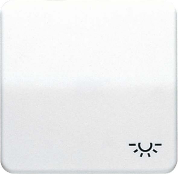 Wippe Symbol LICHT aws CD 590 BFL WW Wippe Symbol LICHT aws CD 590 BFL WW