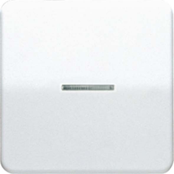 Wippe Lichtleiter br CD 590 KO5 BR