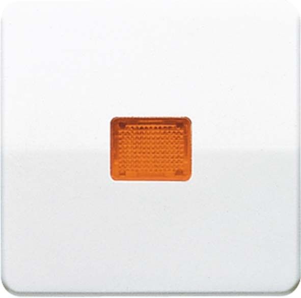 Wippe Lichtfenster lgr CD 590 KO LG