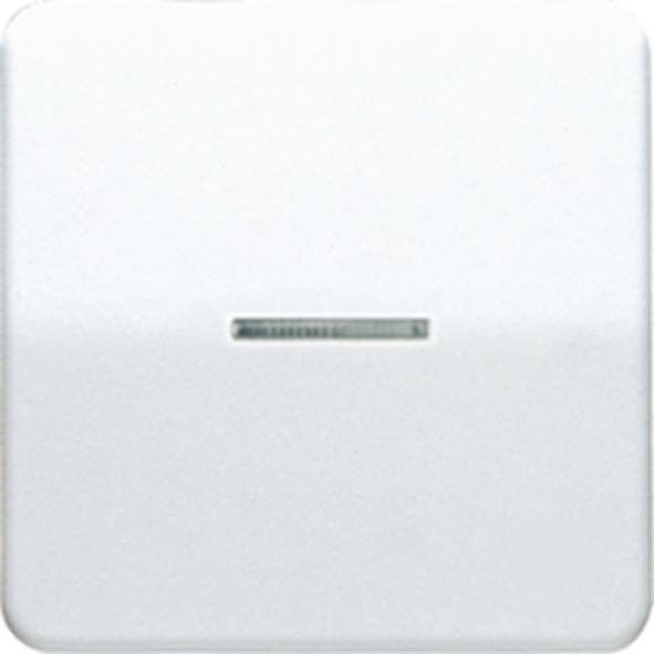 Wippe Lichtleiter lgr CD 590 KO5 LG