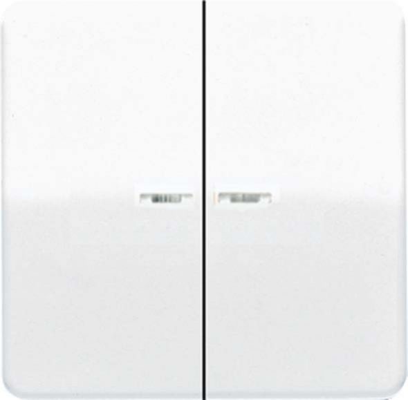 Wippe Lichtleiter sw CD 595 KO5 SW Wippe Lichtleiter sw CD 595 KO5 SW