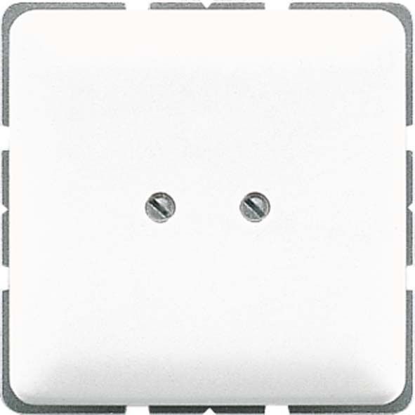 Blind-Abdeckung ws 561 B Blind-Abdeckung ws 561 B