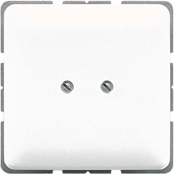 Blind-Abdeckung aws CD 561 B WW Blind-Abdeckung aws CD 561 B WW