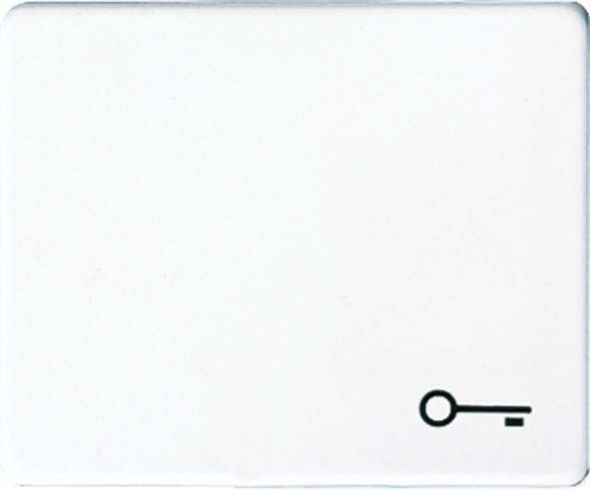 Wippe Symbol TÜR sw SL 590 T SW Wippe Symbol TÜR sw SL 590 T SW