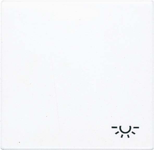 Wippe Symbol LICHT ws LS 990 L