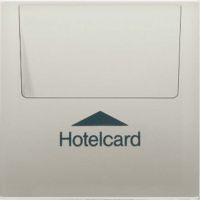 Hotelcard-Schalter ES 2990 CARD edelstahl