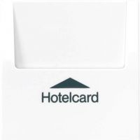 Hotelcard-Schalter LS 590 CARD lichtgrau