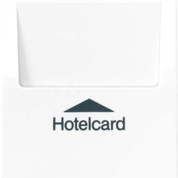 Hotelcard-Schalter LS 590 CARD alpinweiß Hotelcard-Schalter LS 590 CARD alpinweiß