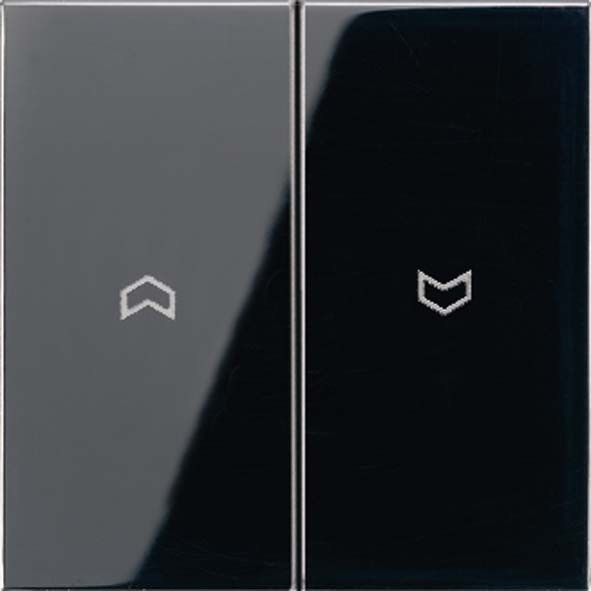 Wippe Symbole sw LS 995 P SW