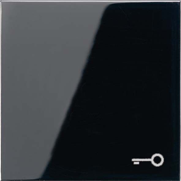 Wippe Symbol TÜR sw LS 990 T SW