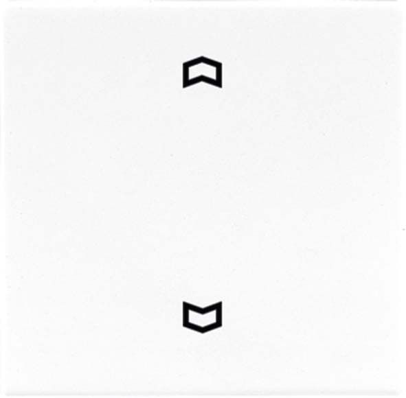 Wippe Symbole sw LS 990 P SW