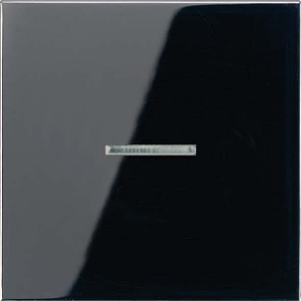 Wippe Lichtleiter ws LS 990 KO5 SW Wippe Lichtleiter ws LS 990 KO5 SW