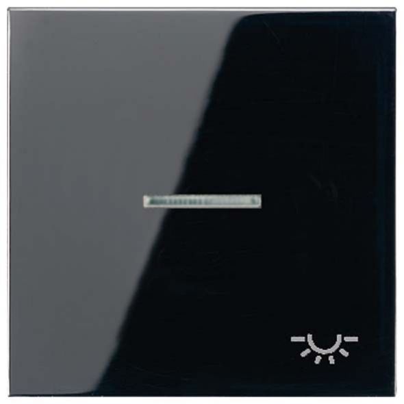Wippe Sym.LICHT/Lichtl.sw LS 990 KO5L SW Wippe Sym.LICHT/Lichtl.sw LS 990 KO5L SW